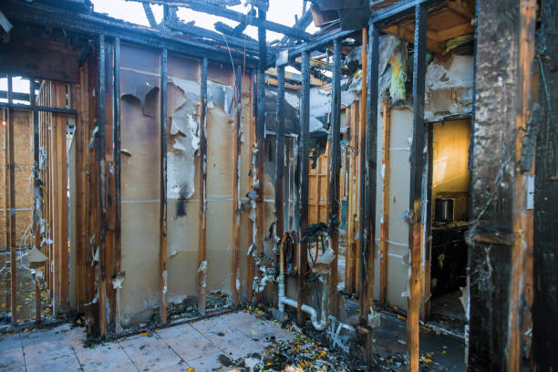 Professional Fire Damage Repair technician working in Ely, NV